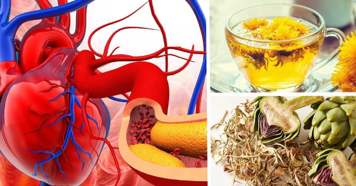beneficios para la salud del te