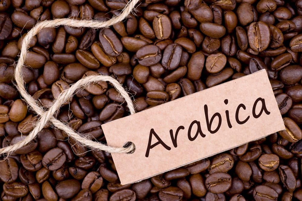 que es el café arábico