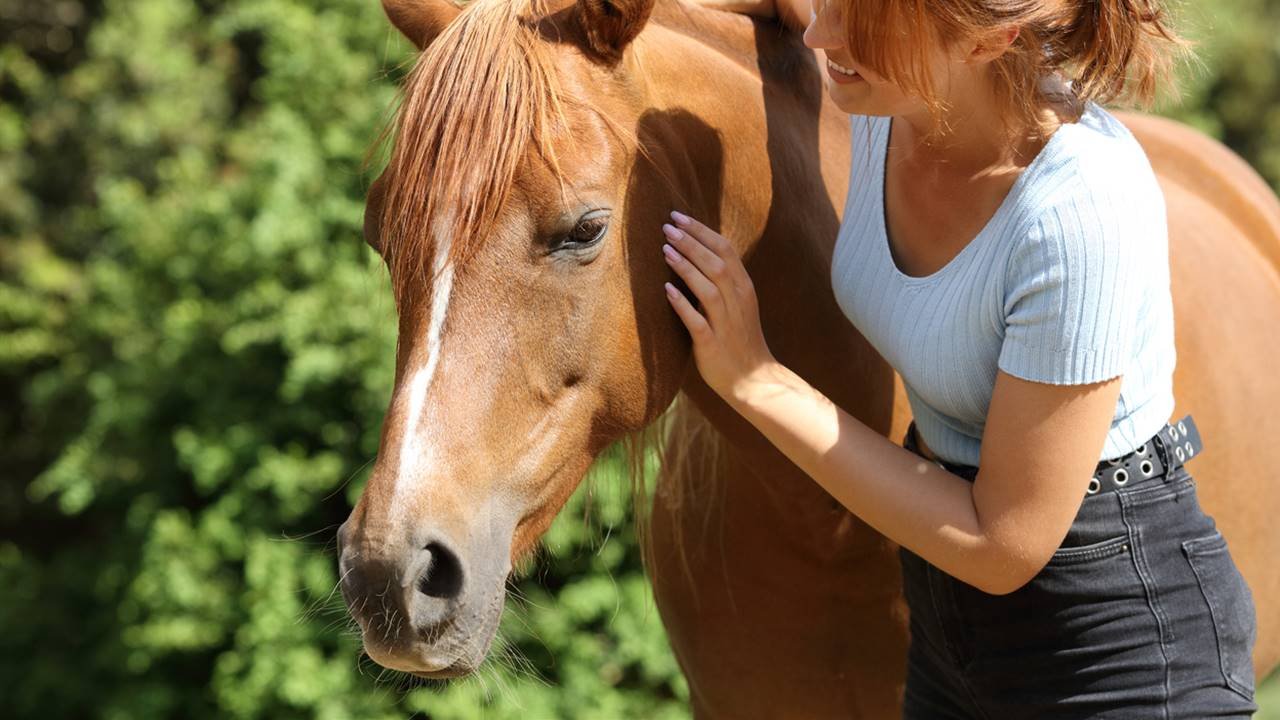 relacion entre caballos y humanos